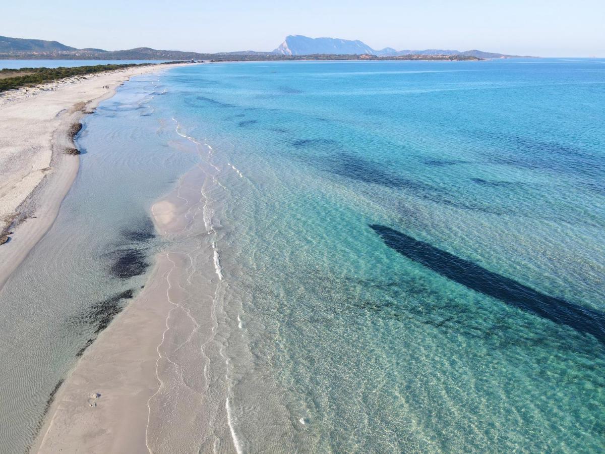 Iss Travel, Villa Fiorita - 800 M From La Cinta Beach San Teodoro  Exterior photo